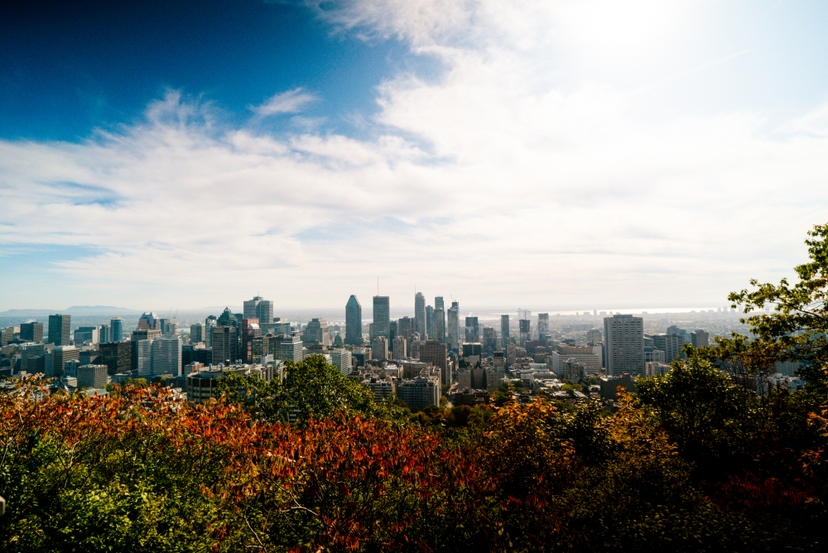 View from Mont Royal in 2024