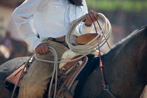 Rider Riding a horse