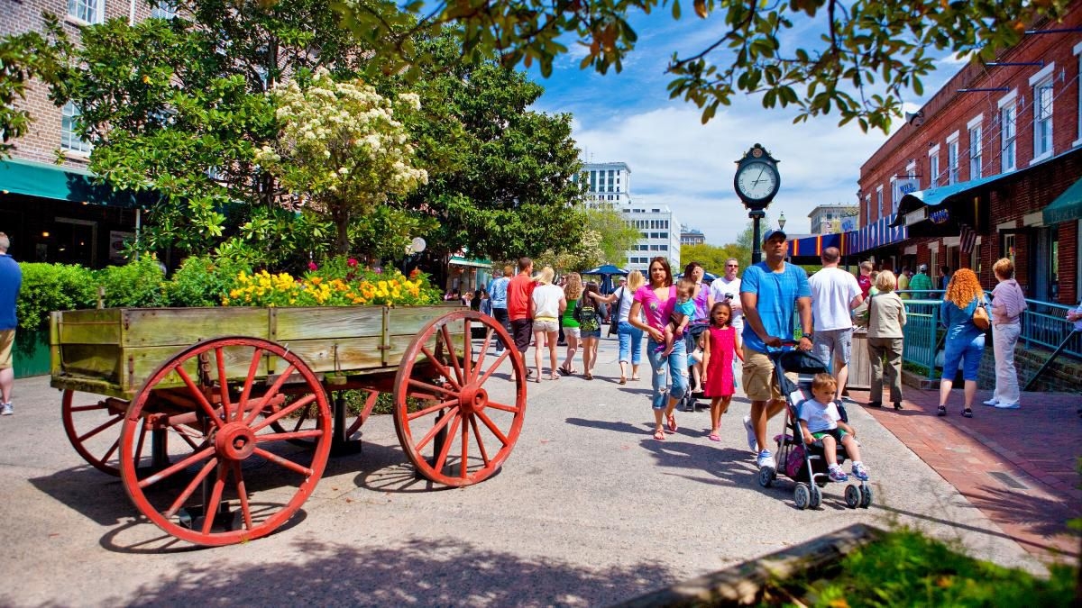 Savannah City Market