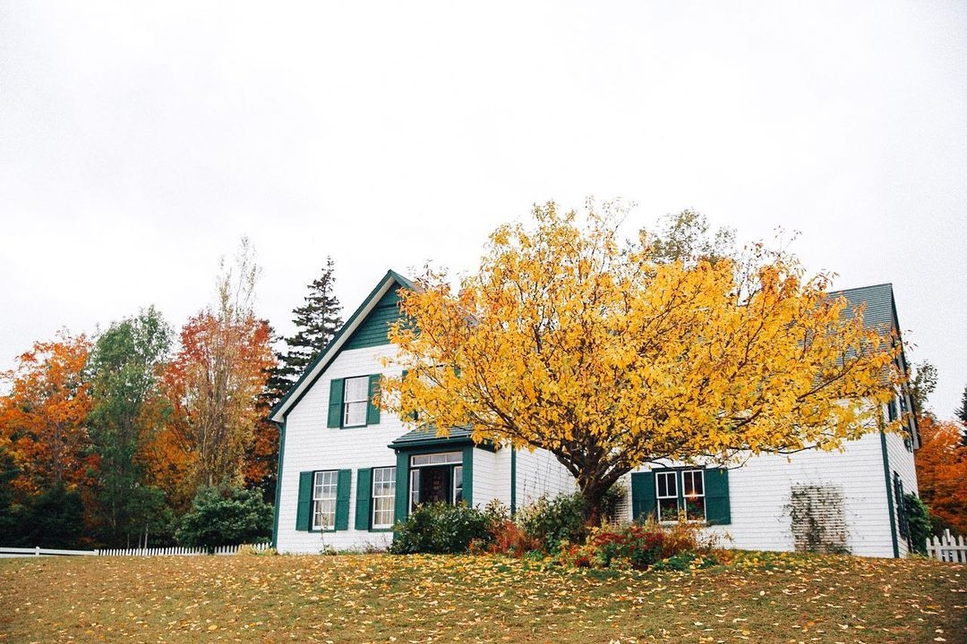 Best times of year to go on an Anne of Green Gables tour