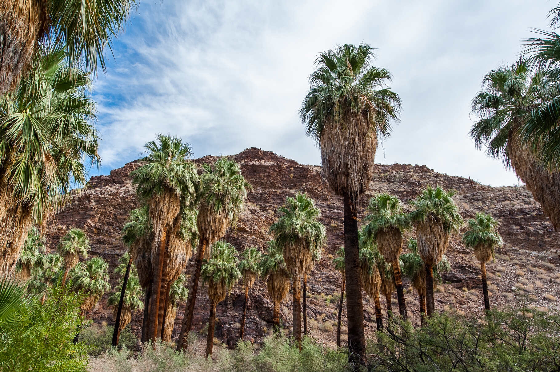 ULTRA Small Group Palm Springs Tours 