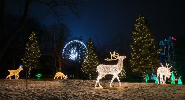 Niagara Falls Winter Festival of Lights - Tripshepherd