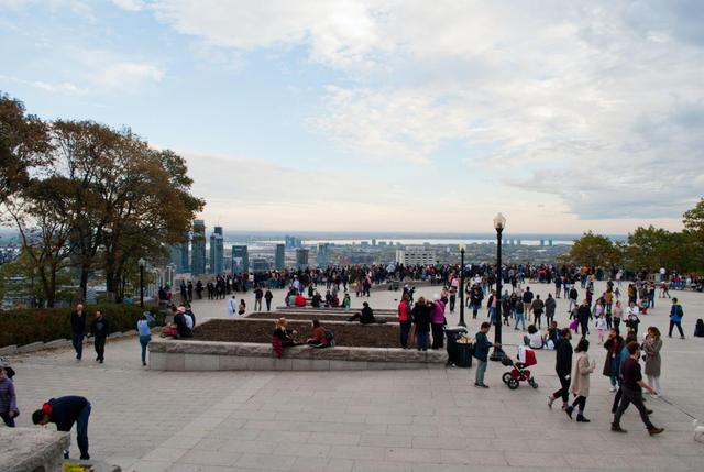 Things to Know Before Visiting the Montreal's Mount Royal Lookout - Tripshepherd