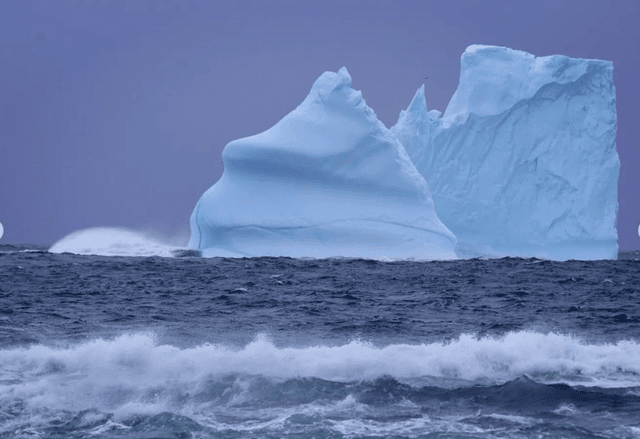 Iceberg Viewing in Newfoundland 2024 - Tripshepherd