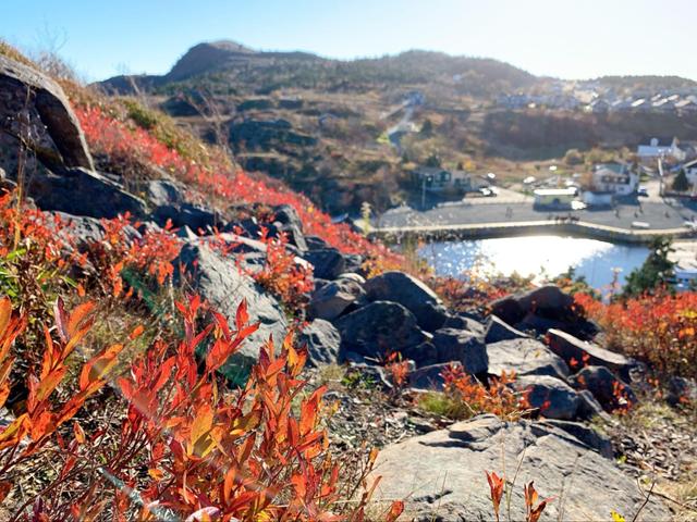 Hidden Gems in St. John's Newfoundland - Tripshepherd