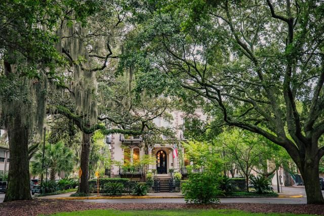 The Best Time to Visit Savannah - Tripshepherd