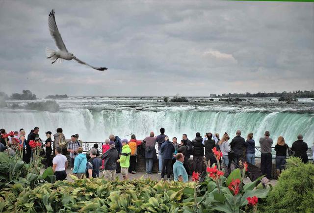 Niagara Falls Wildlife and Conservation Areas - Tripshepherd