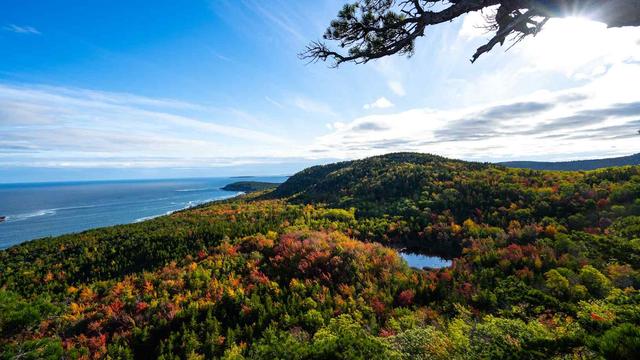 Things To Do In Bar Harbor This Weekend - Tripshepherd