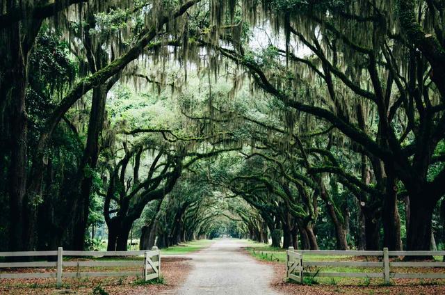 Non Touristy Things To Do In Savannah - Tripshepherd