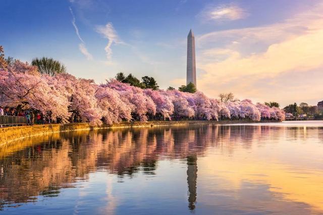 Best time to visit Washington D.C. - Tripshepherd